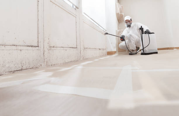 24/7 Emergency Mold Remediation experts in Newton, TX
