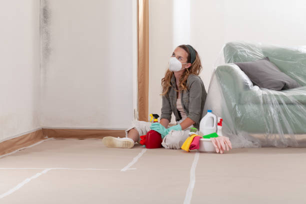 Reliable Mold Remediation contractor in Newton, TX by 24 Hour Mold Removal